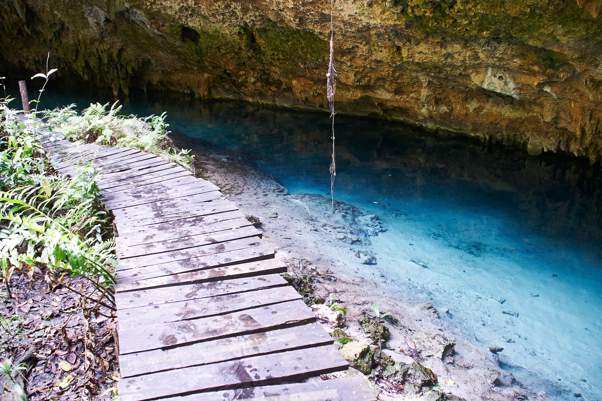a wooden walkway over a river