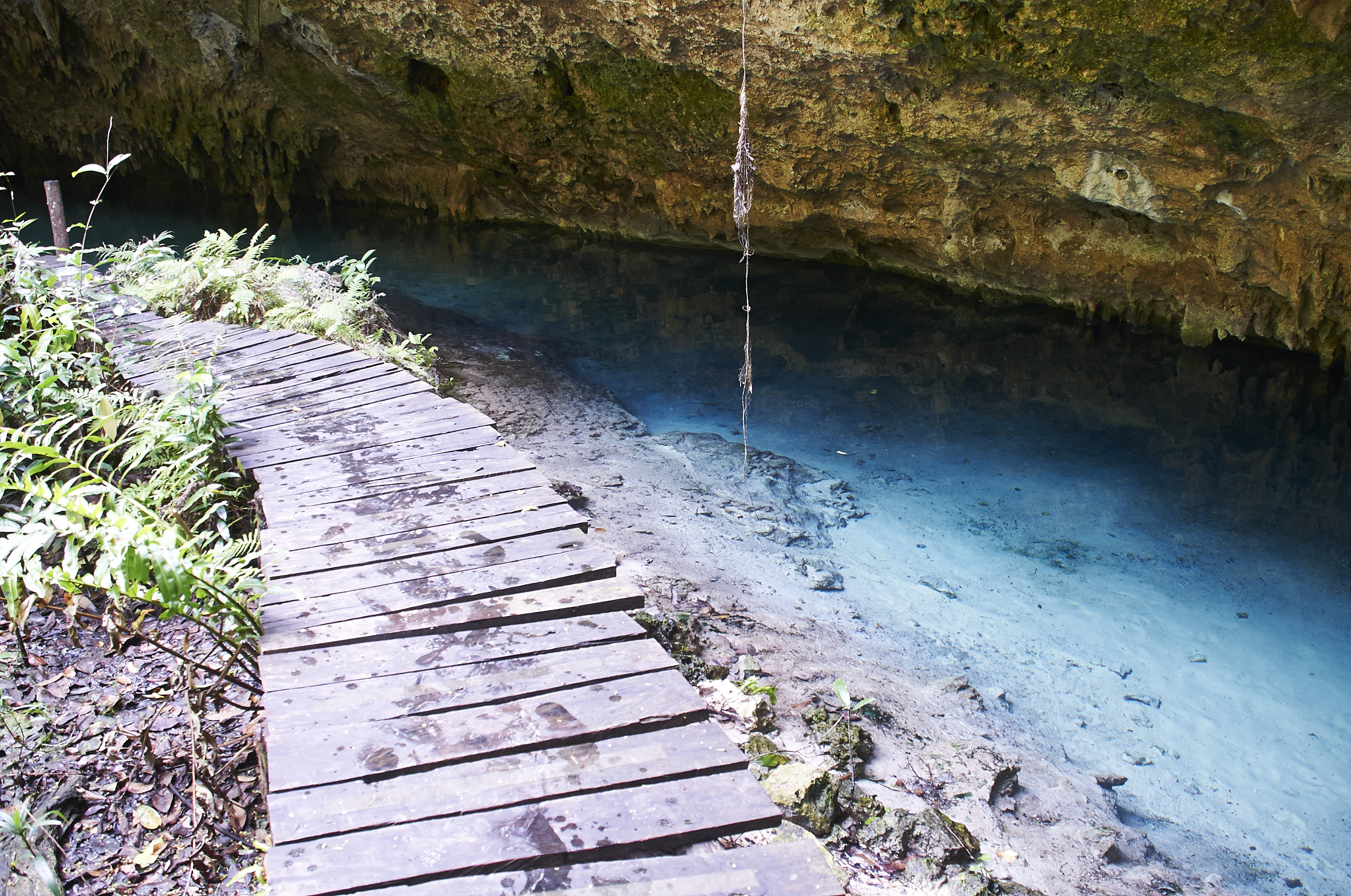 Wooden boardwalk along a bright blue cenote cave pool.