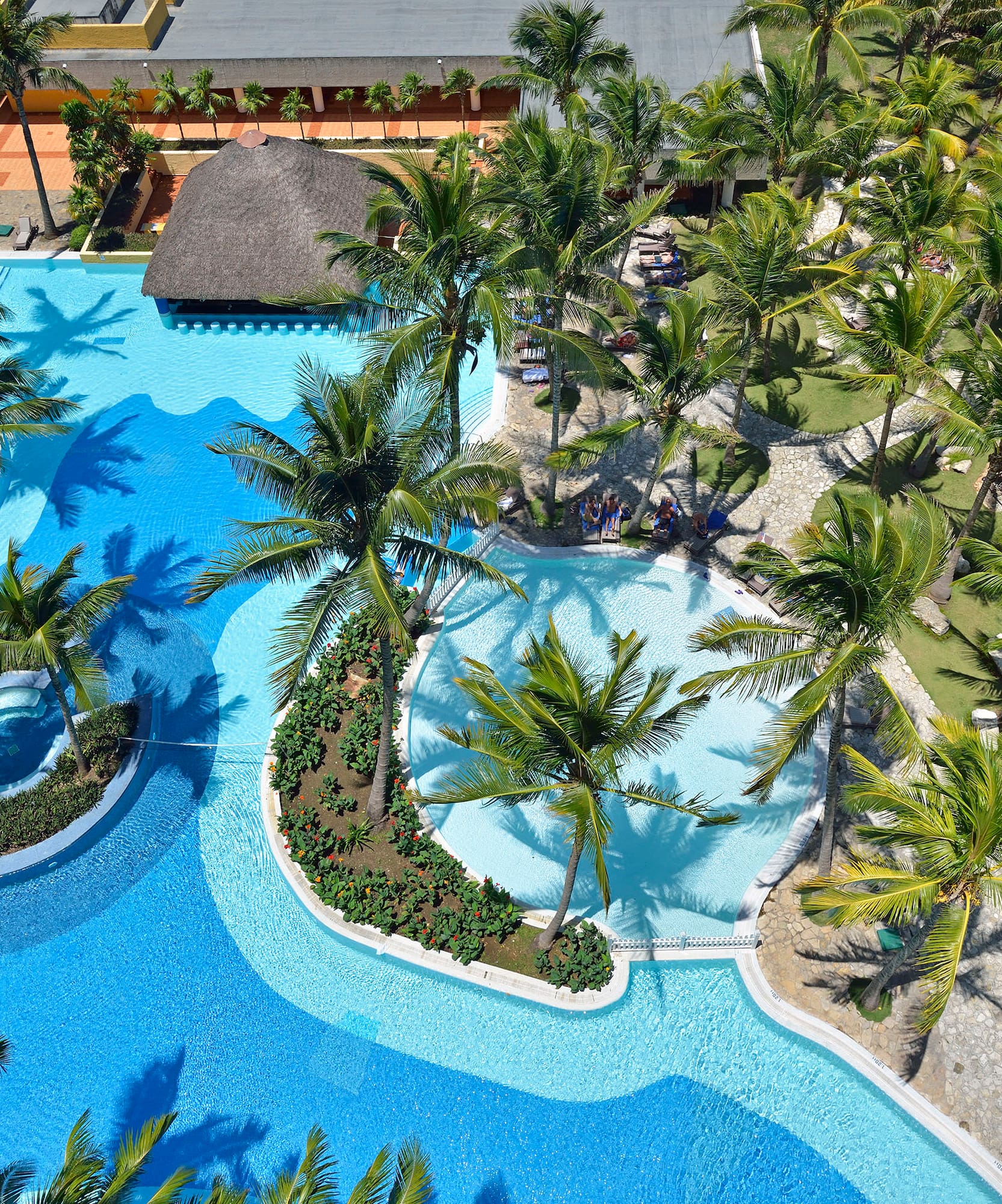 a pool with palm trees and a building