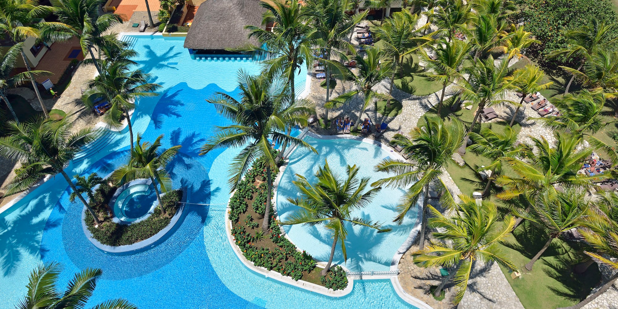a pool with palm trees and a building