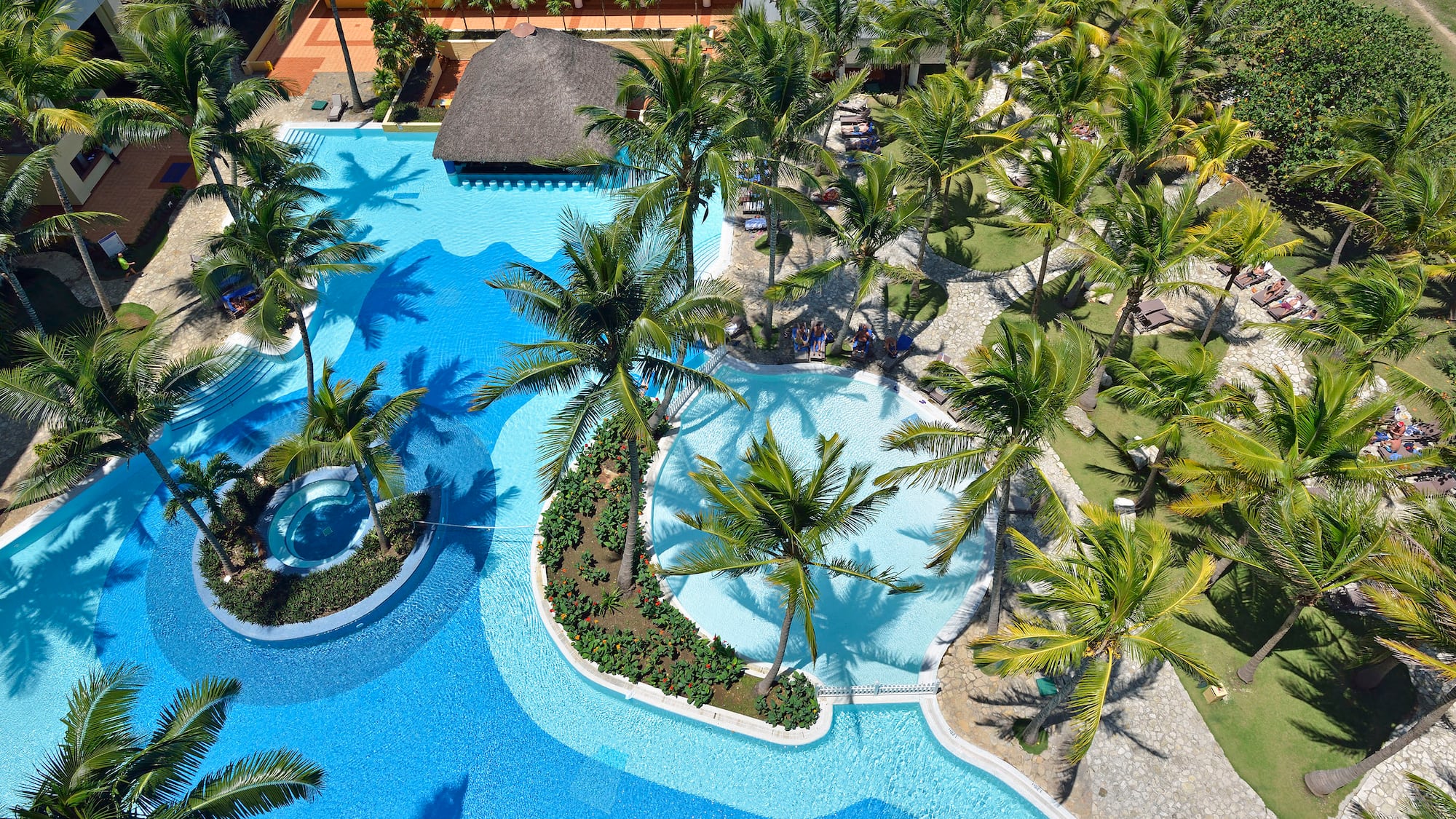 a pool with palm trees and a building