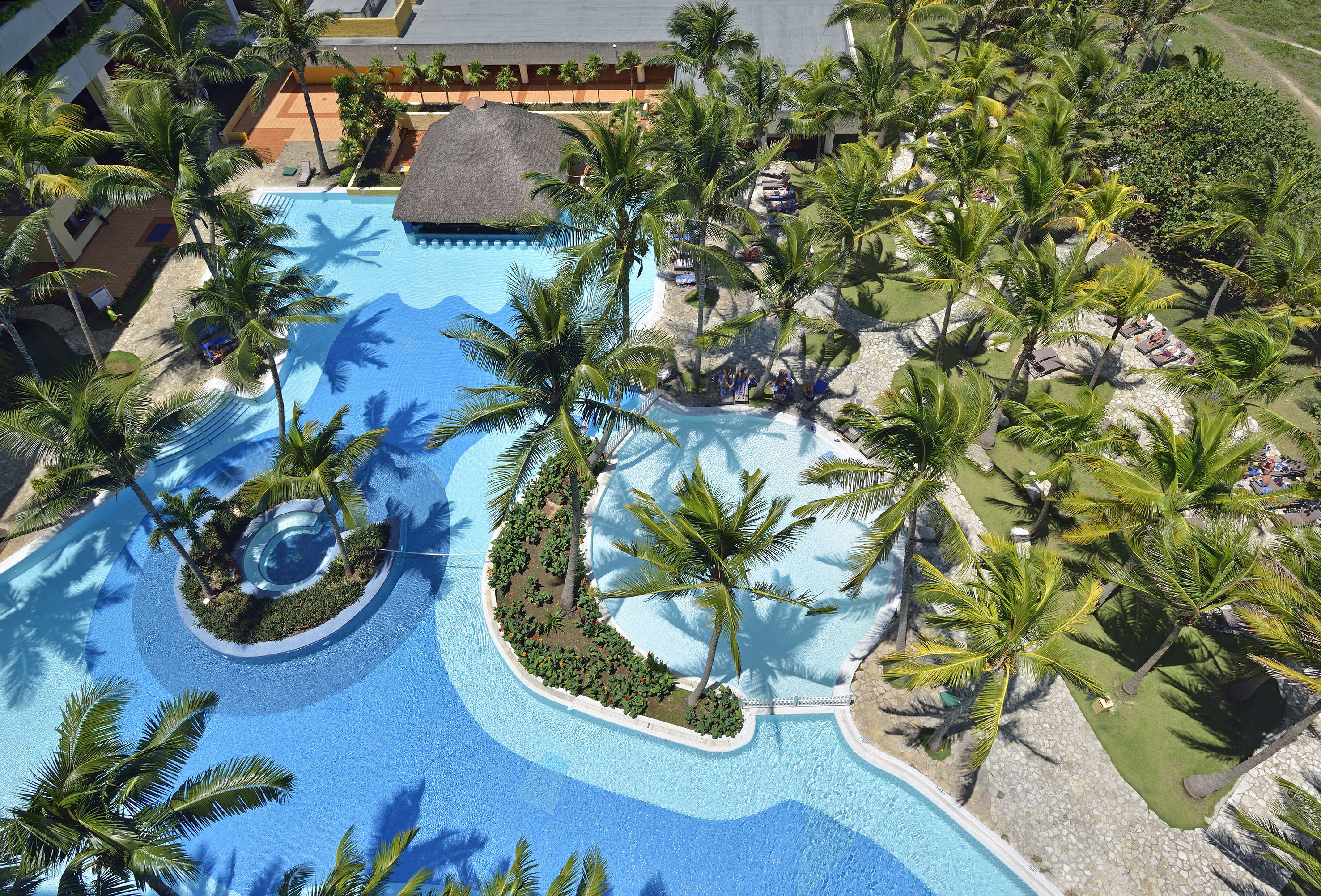 a pool with palm trees and a building
