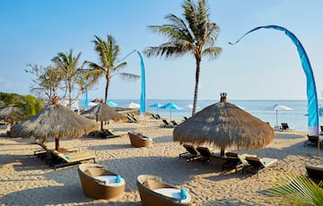 una playa con palmeras y tumbonas