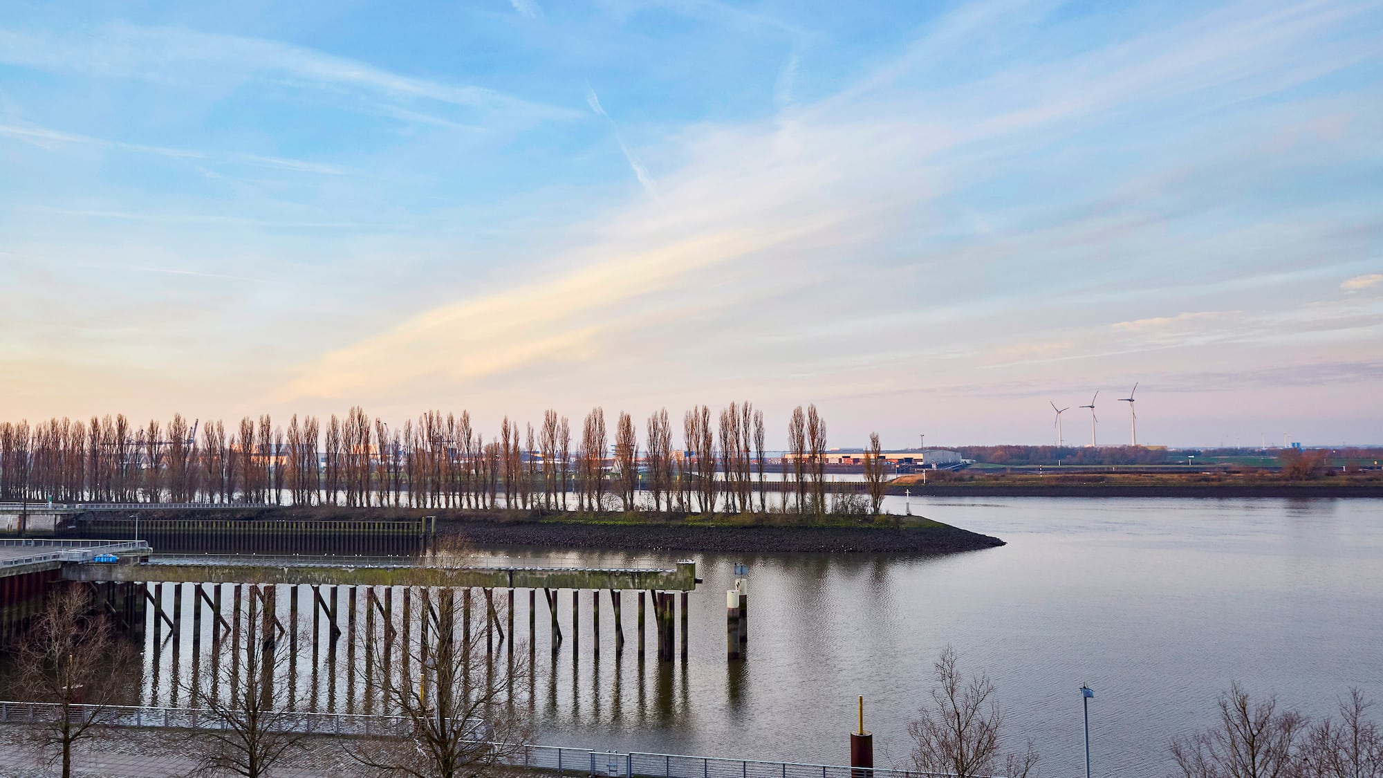 a body of water with trees and a bridge
