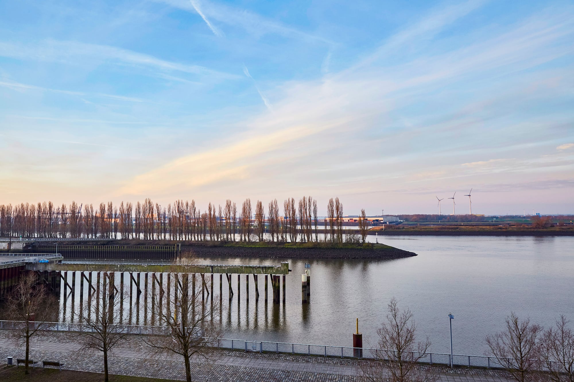 a body of water with trees and a bridge
