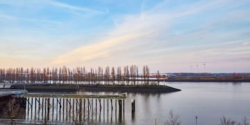 a body of water with trees and a bridge