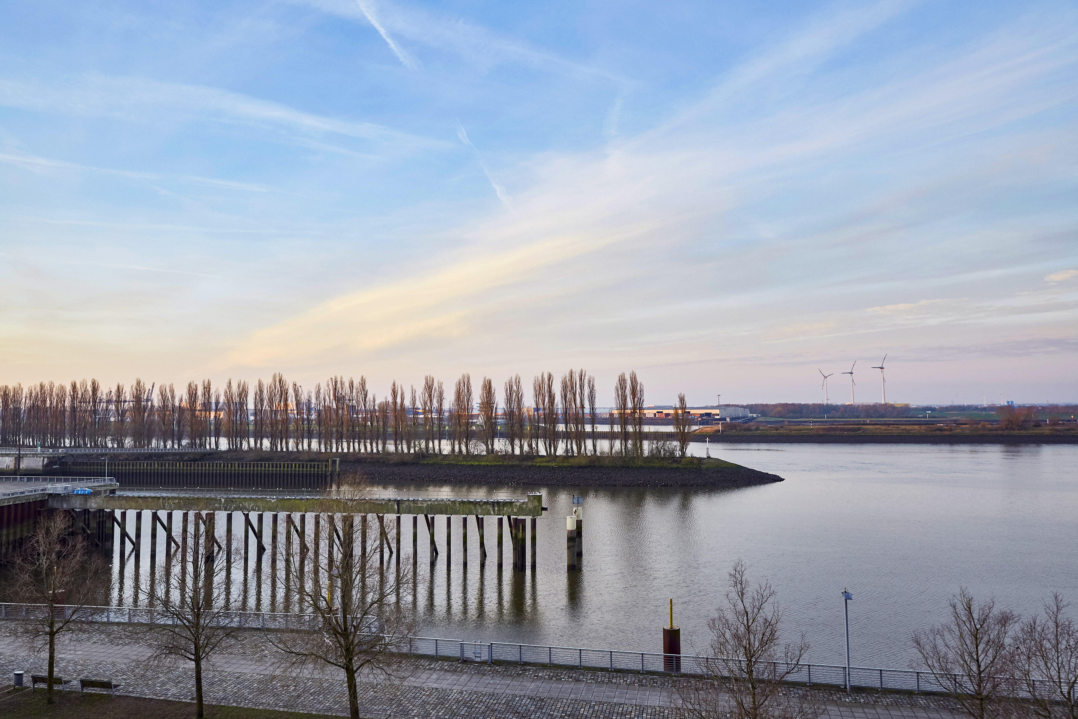 a body of water with trees and a bridge