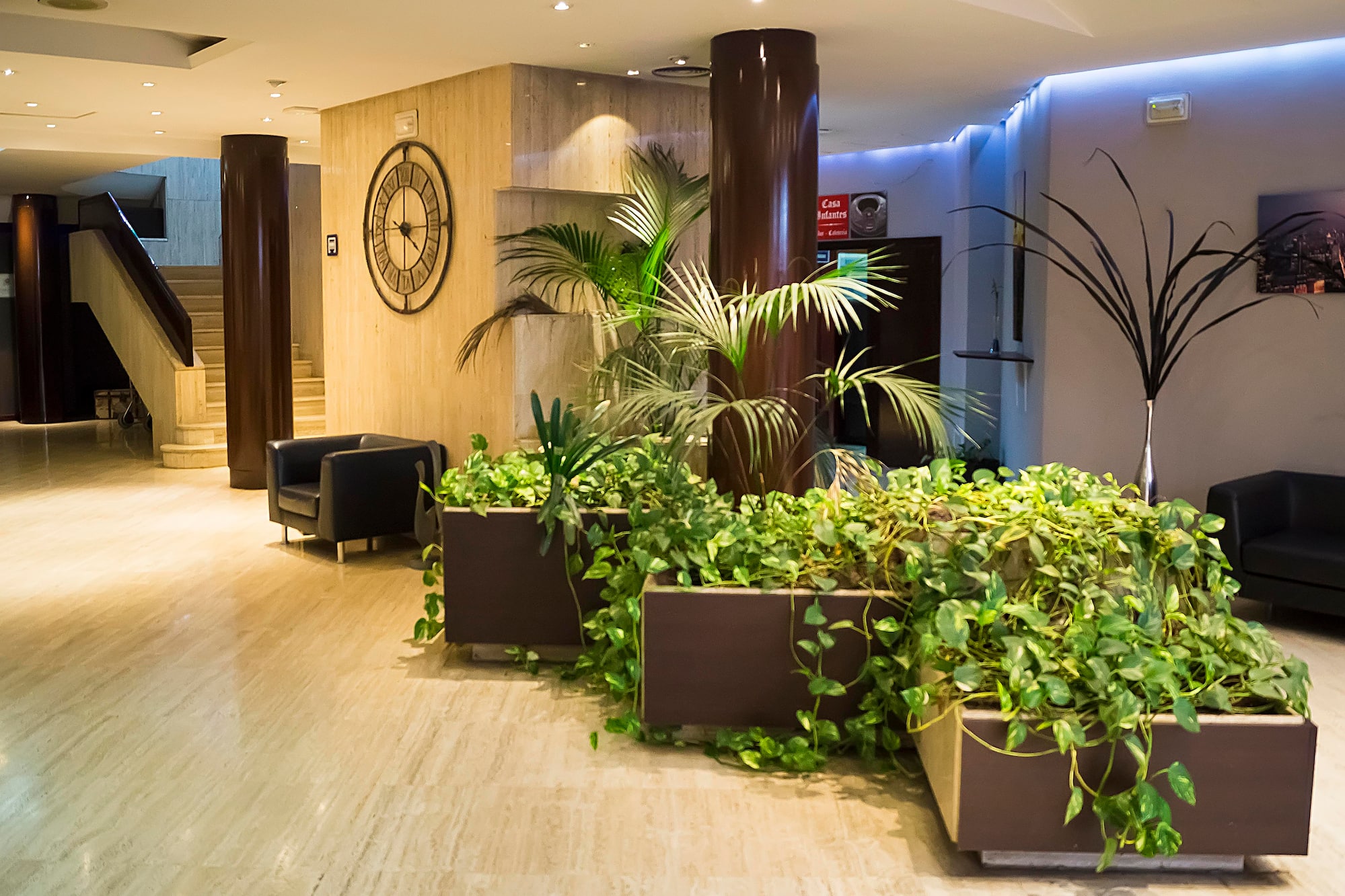 a room with plants and a clock