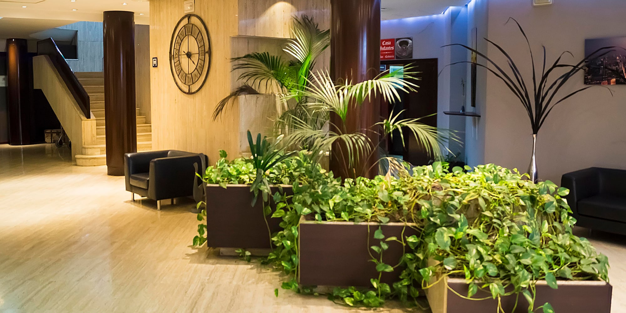 a room with plants and a clock