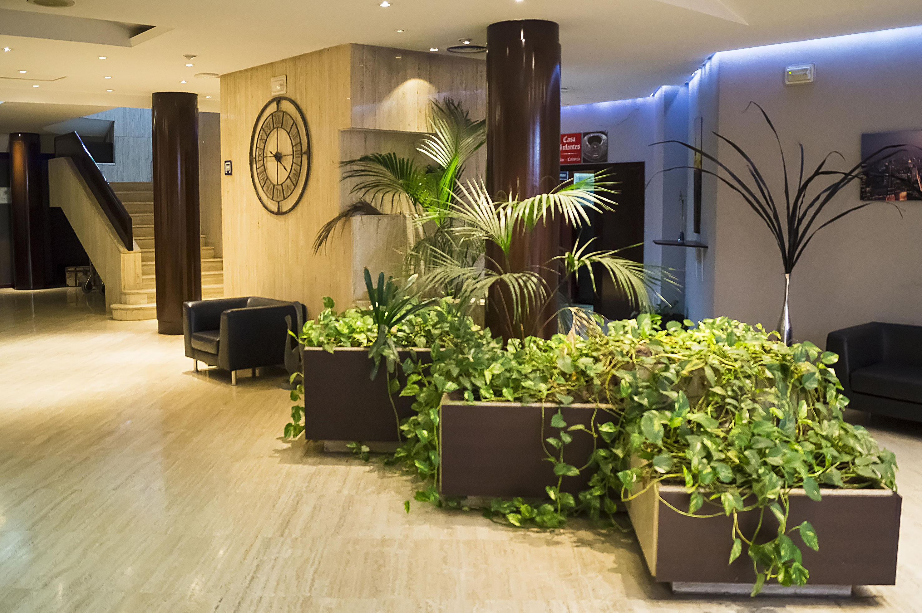 a room with plants and a clock