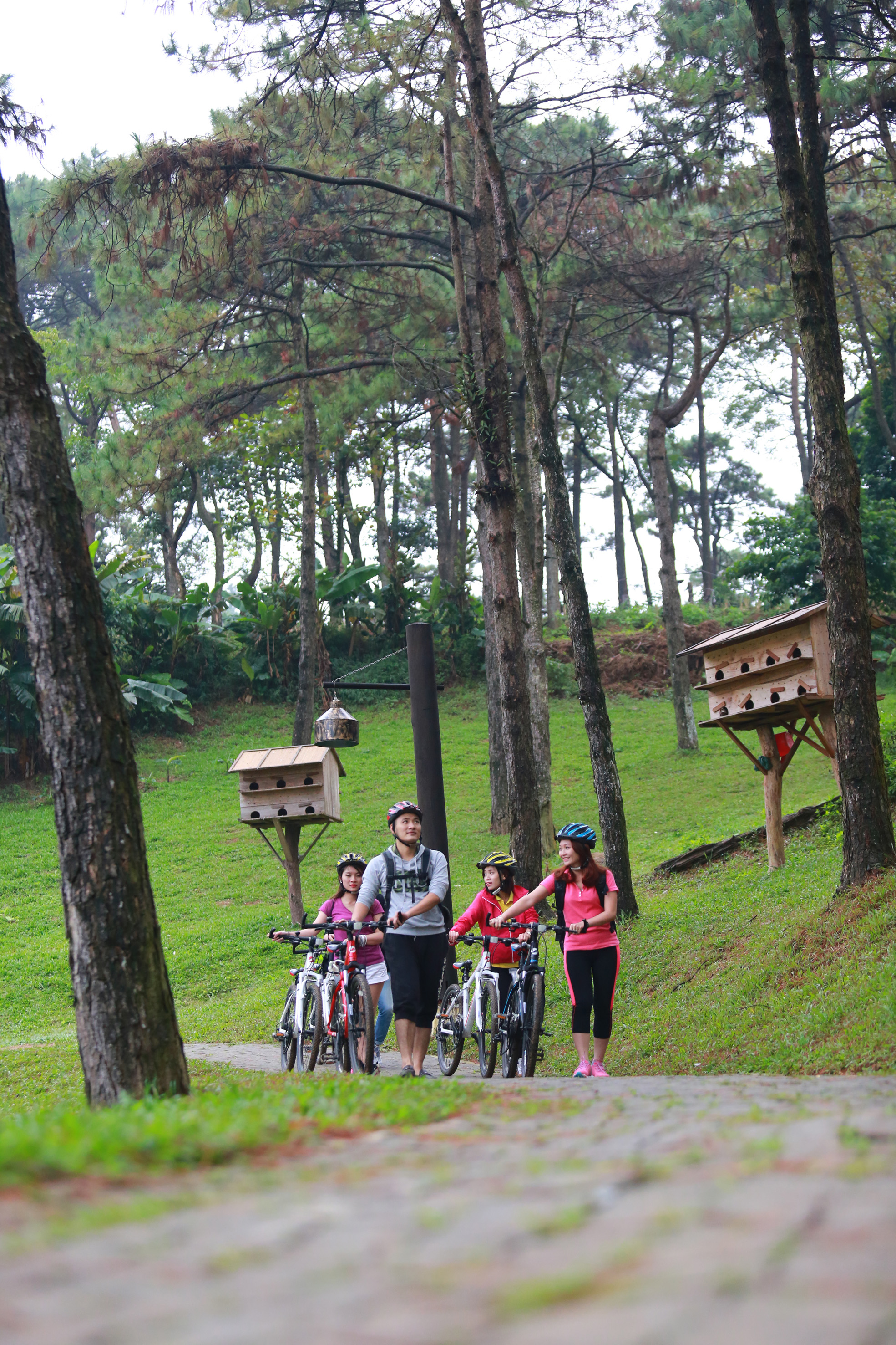 a group of people with bicycles in a park