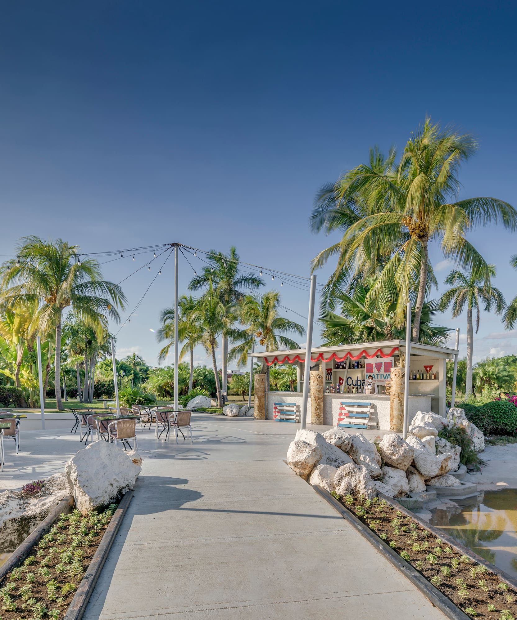 a sidewalk with tables and chairs in front of palm trees