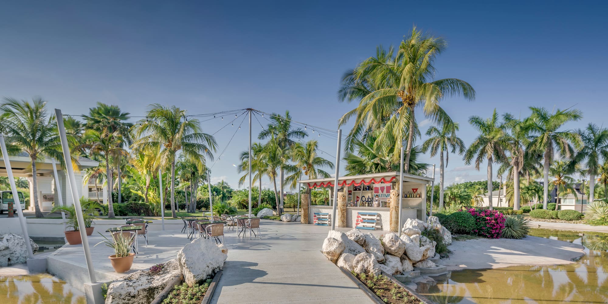 a sidewalk with tables and chairs in front of palm trees