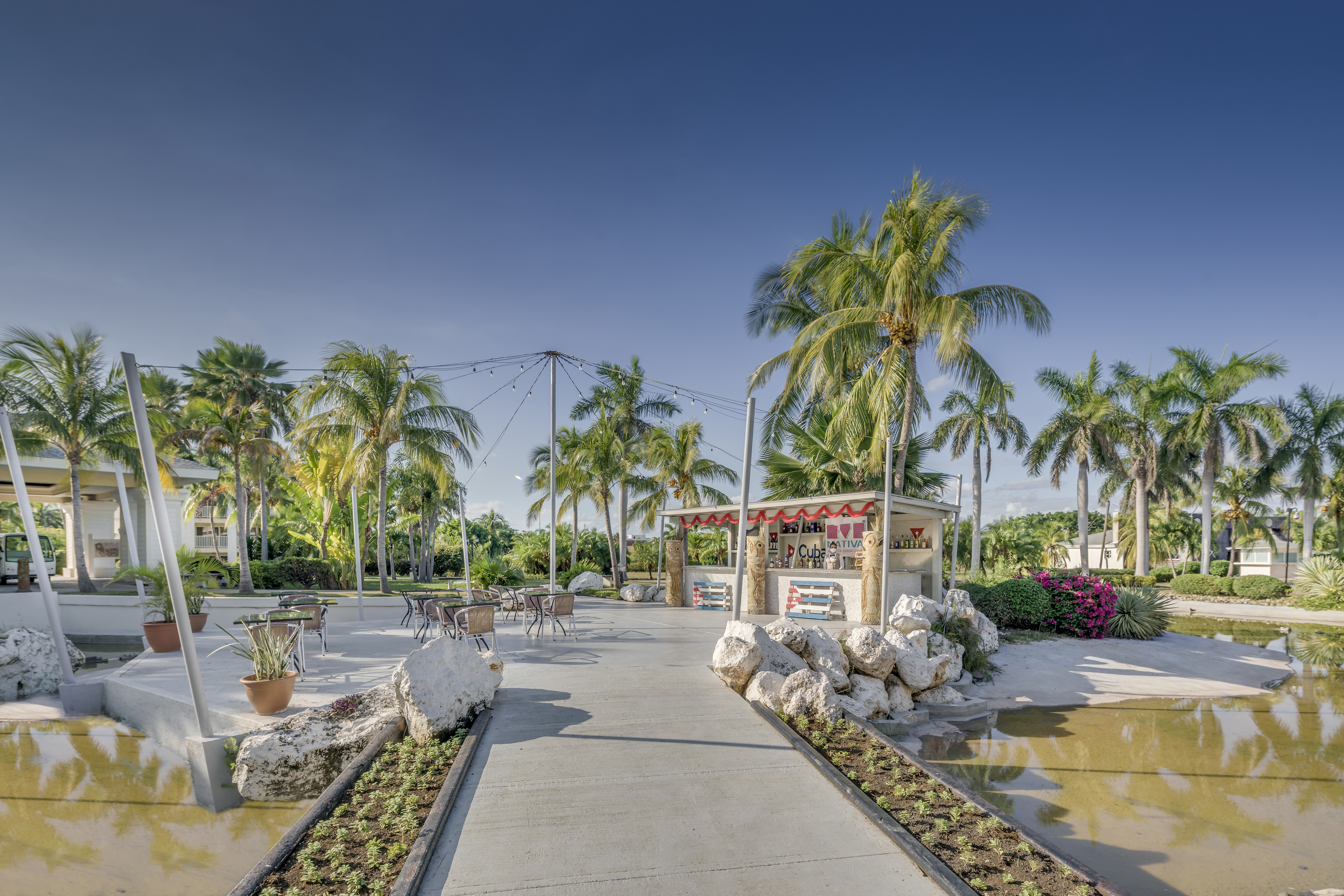 a sidewalk with tables and chairs in front of palm trees