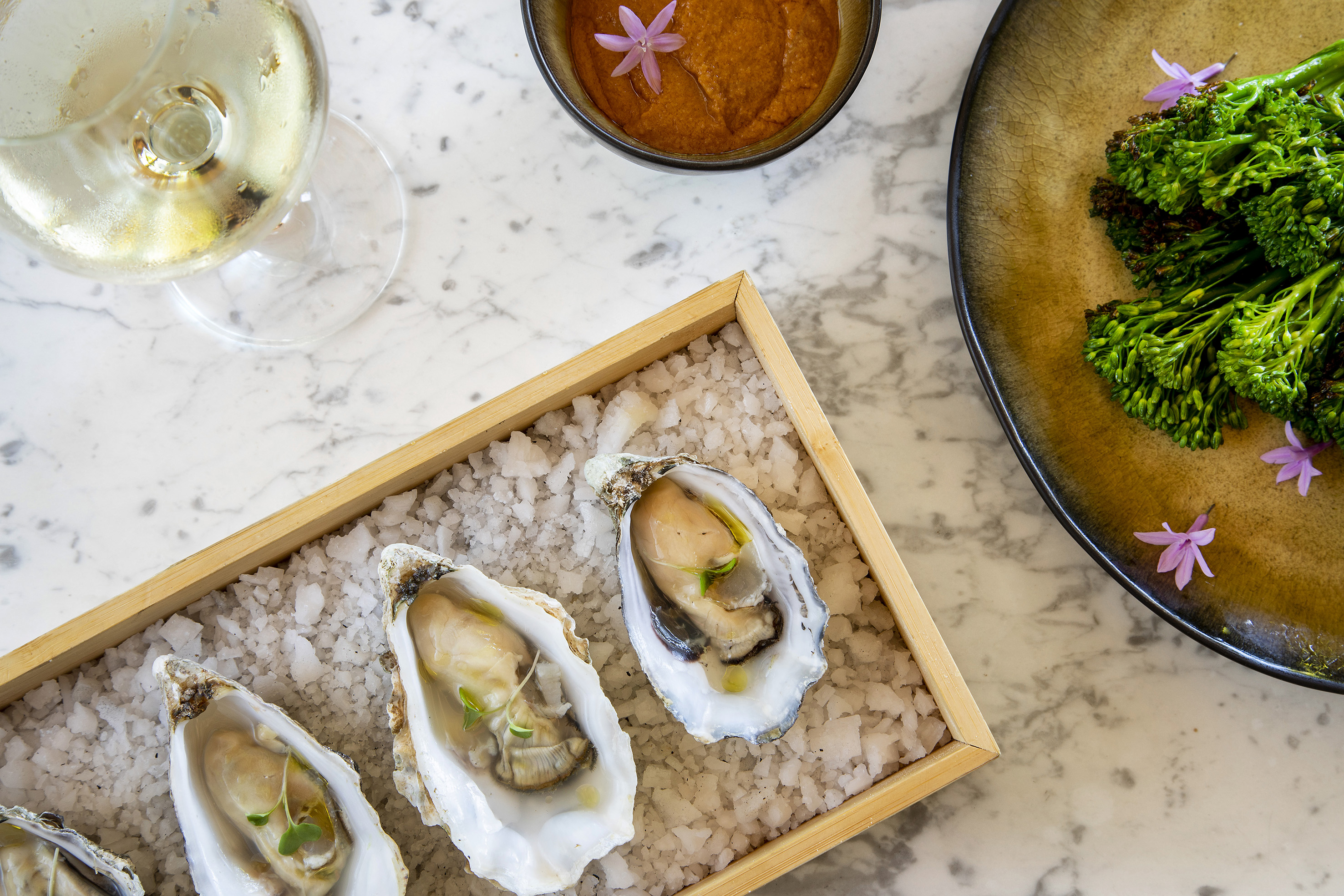 Fresh oysters on salt, white wine, broccolini, and dip on marble table.