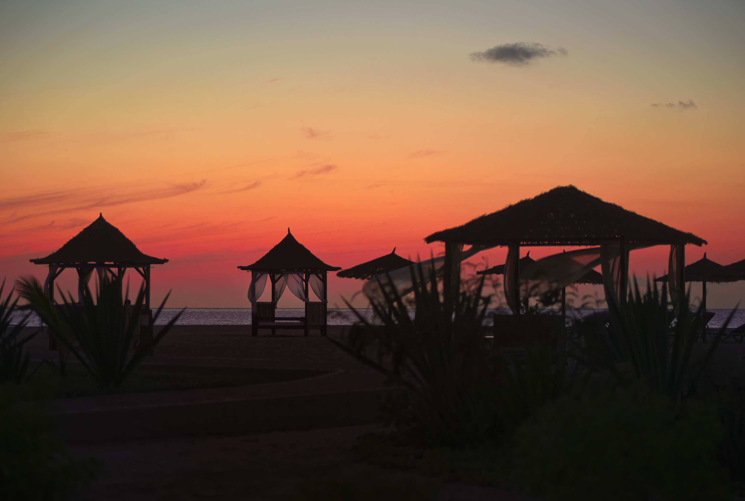 a beach with a sunset