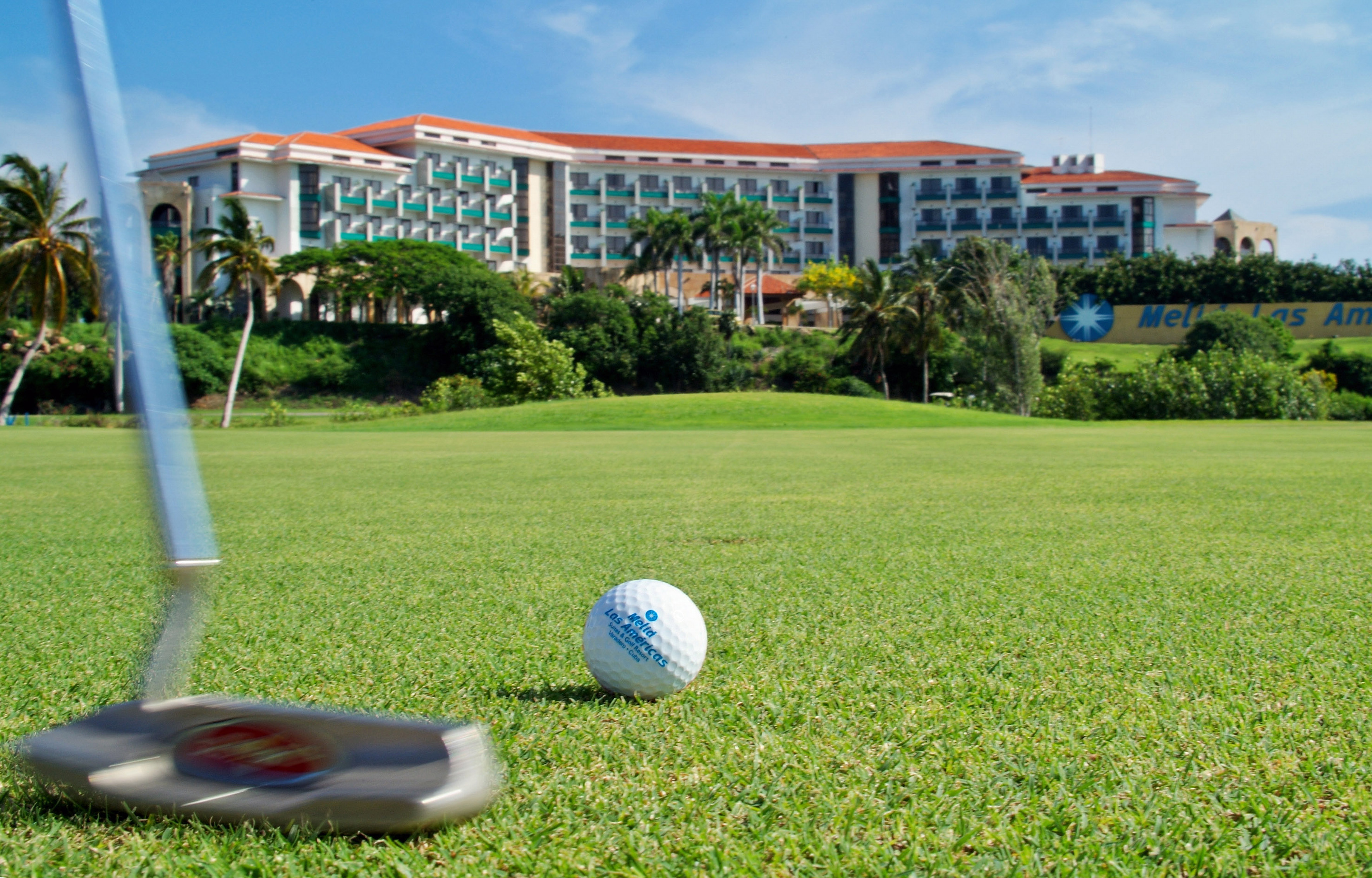a golf ball on the grass