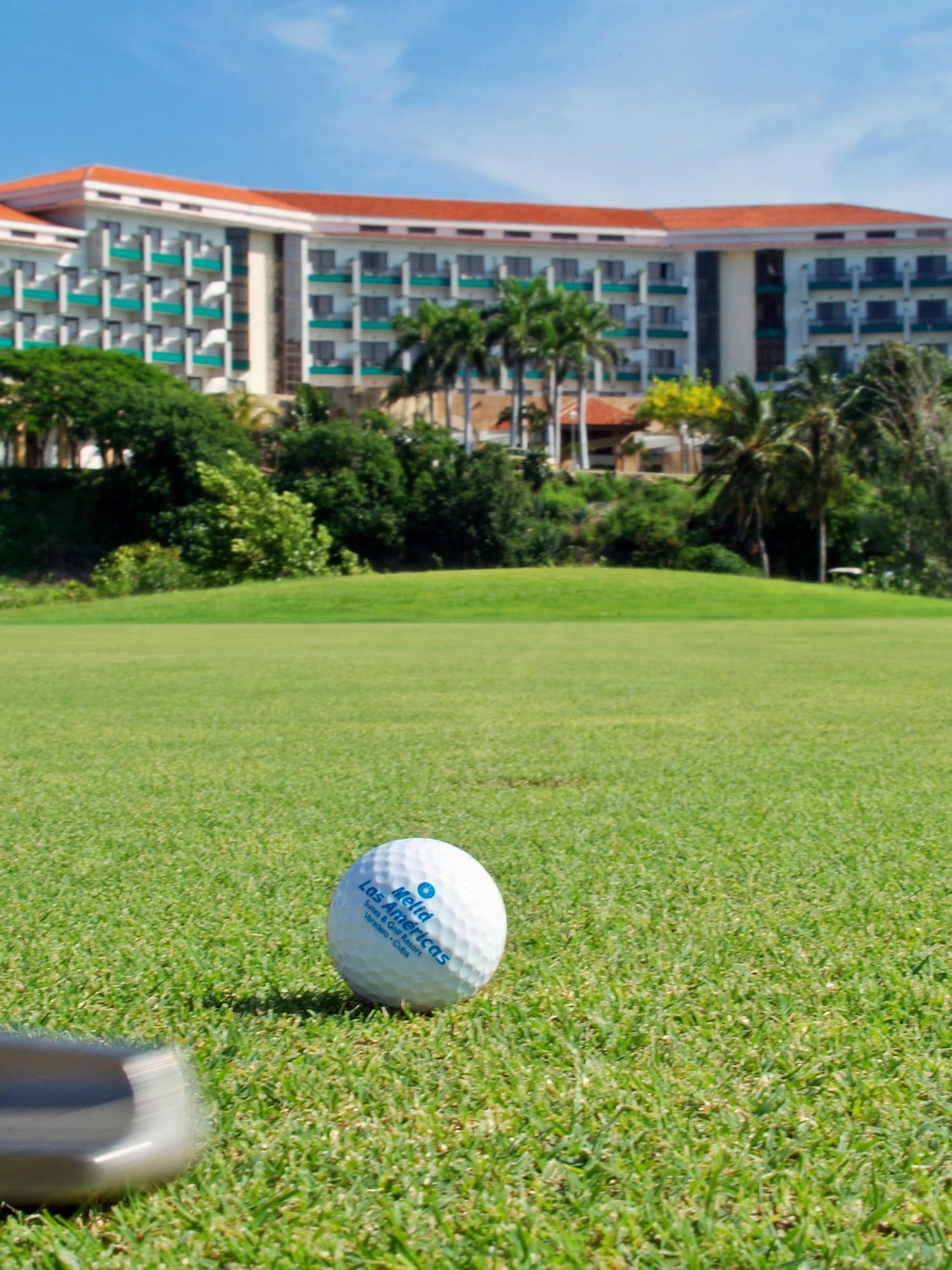 a golf ball on the grass