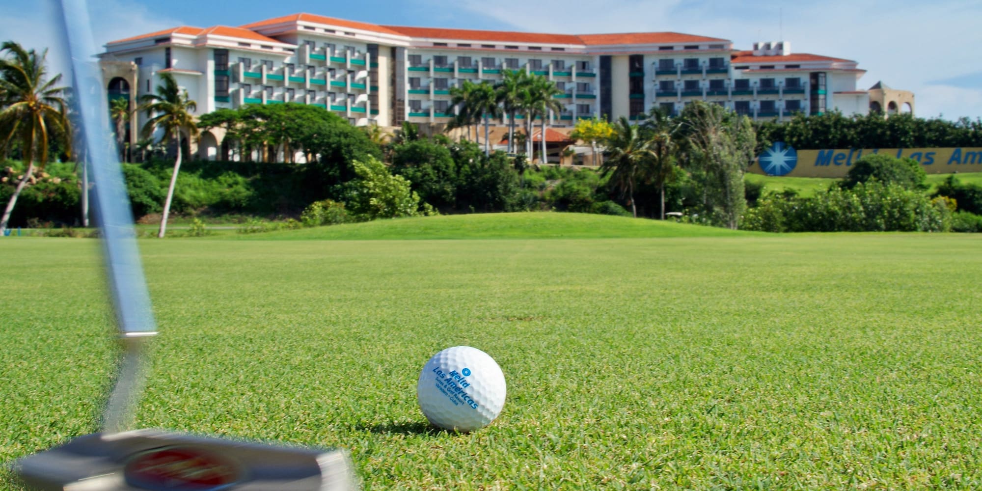 a golf ball on the grass