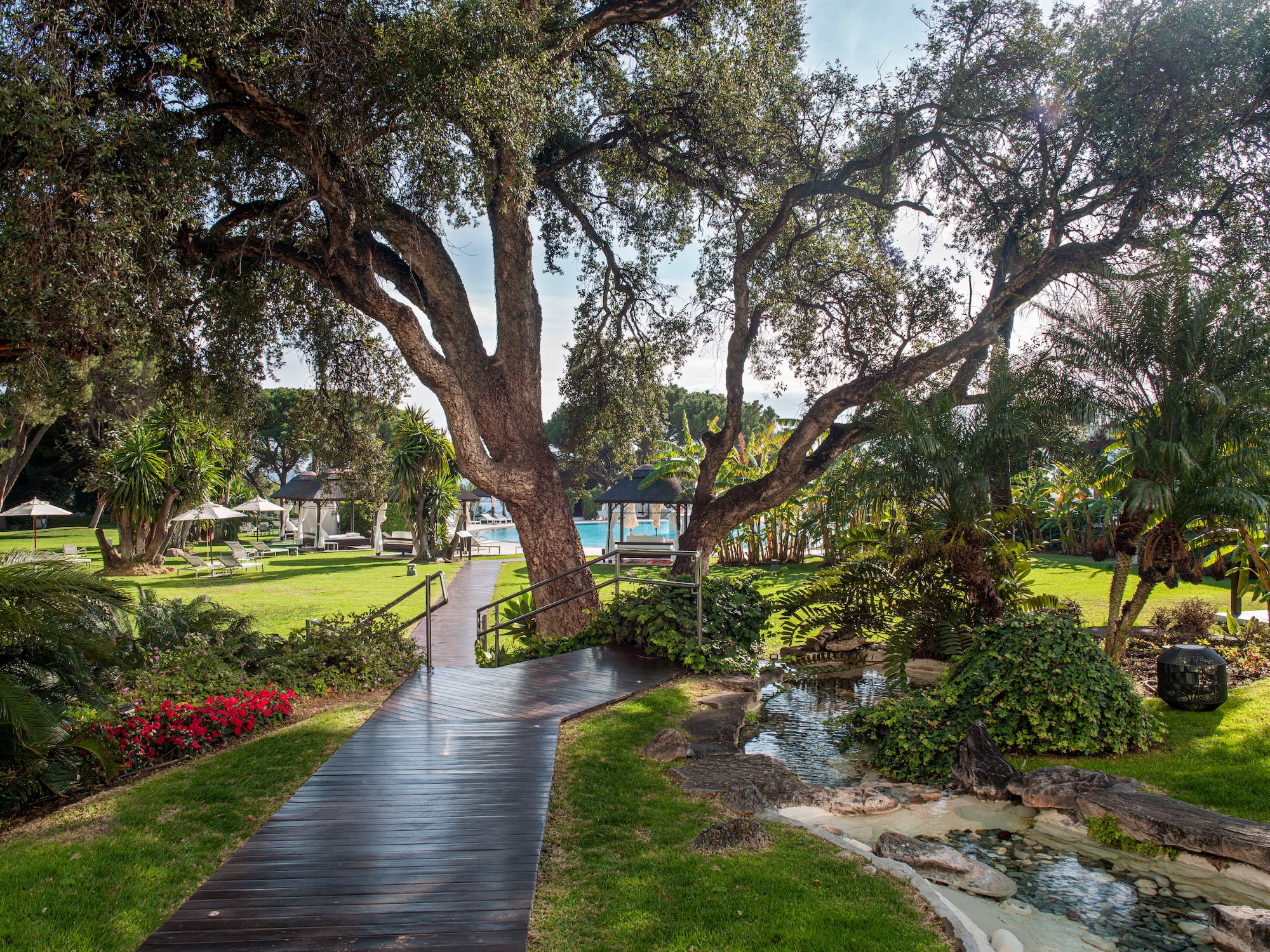 a walkway through a park with a tree and a pond