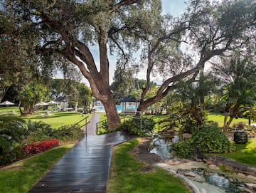 a walkway through a park with a tree and a pond