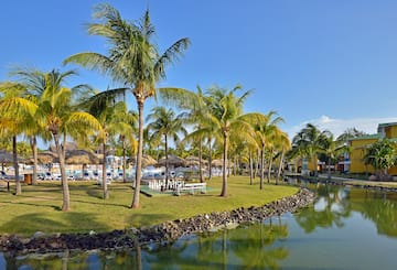 a body of water with palm trees and a pool
