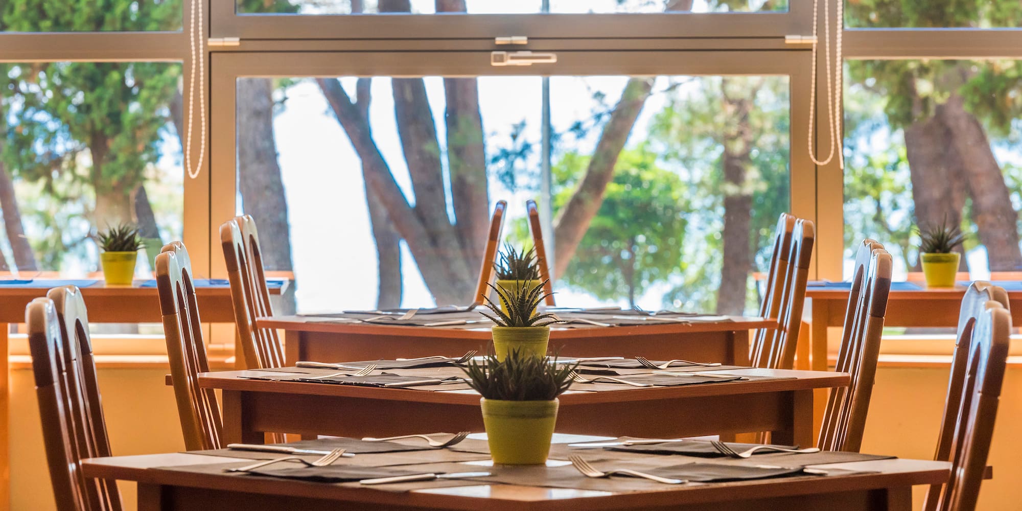 a table with chairs and a potted plant on it