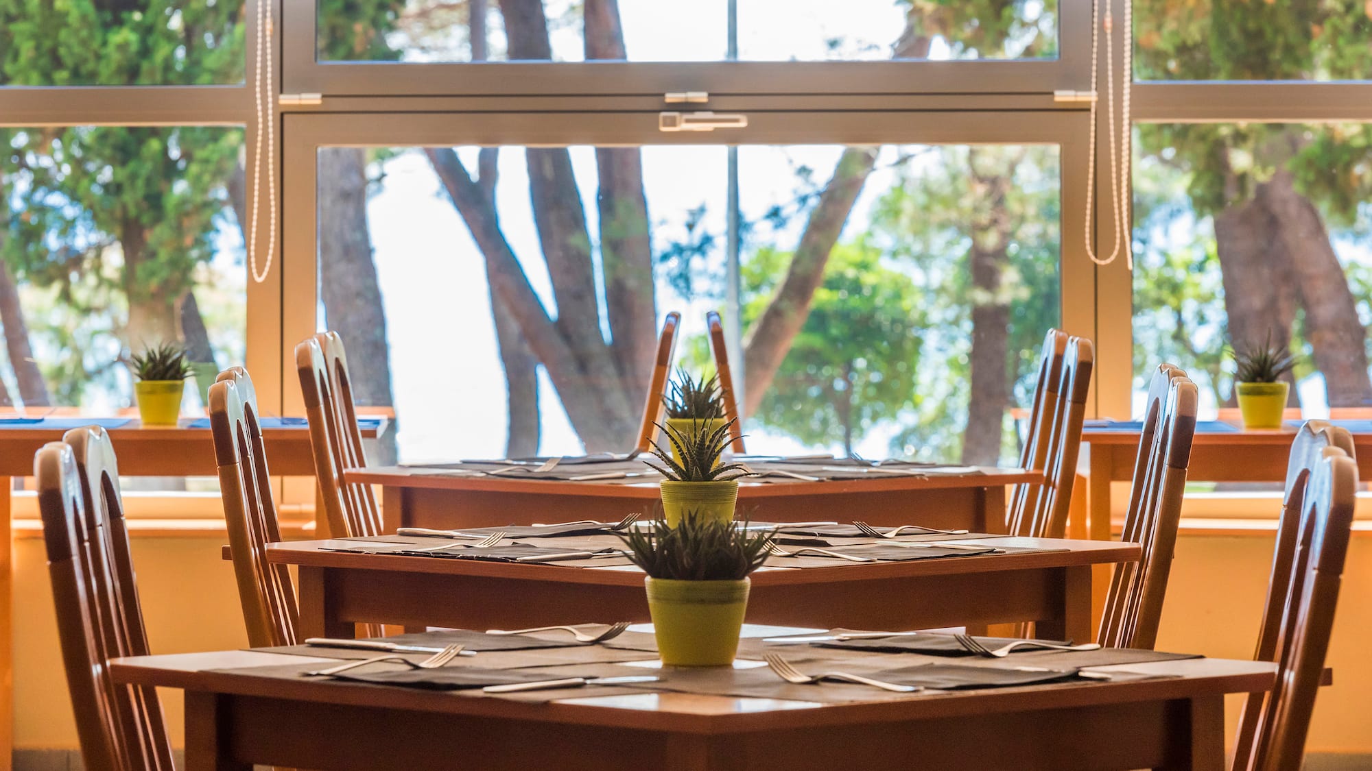 a table with chairs and a potted plant on it