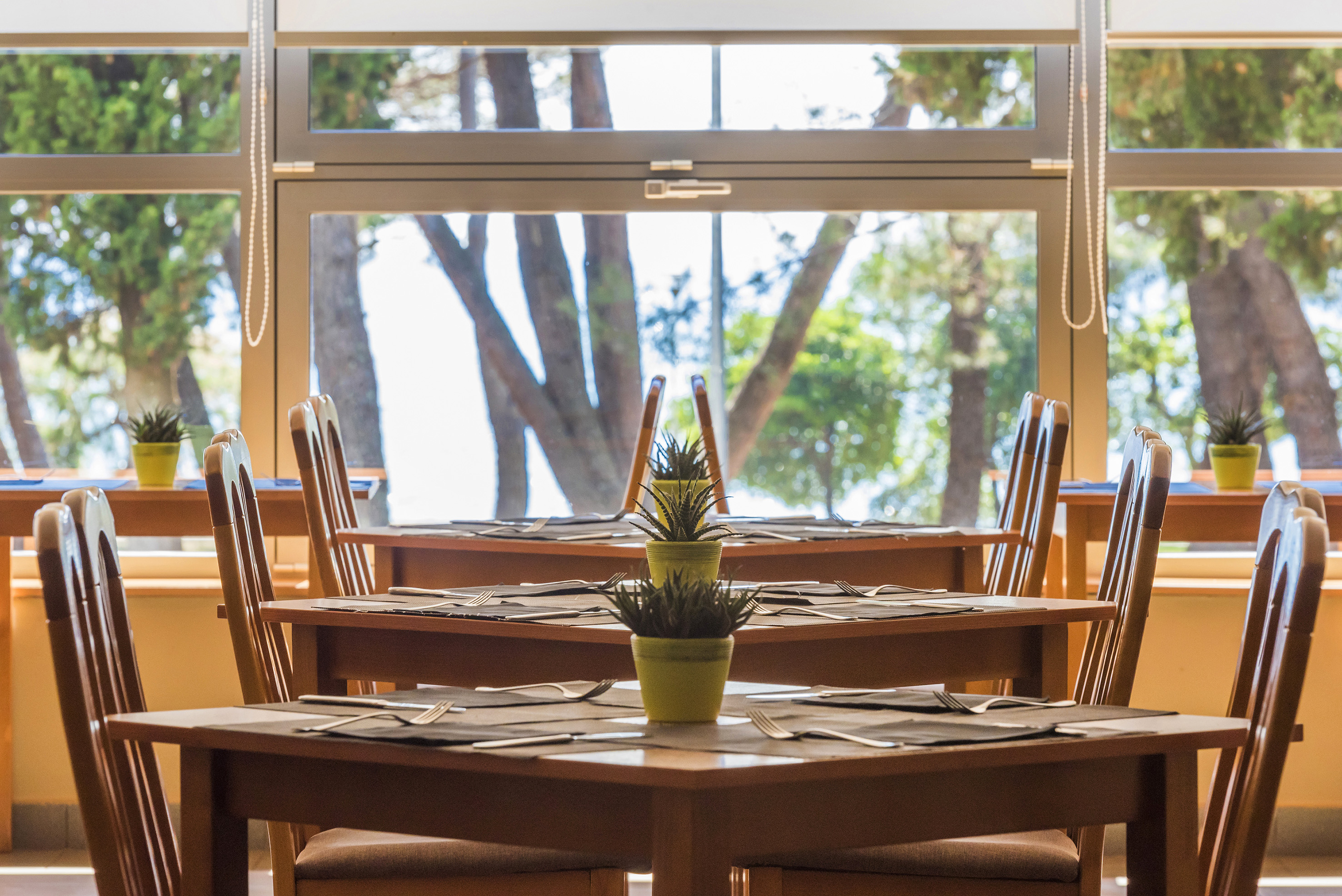 a table with chairs and a potted plant on it