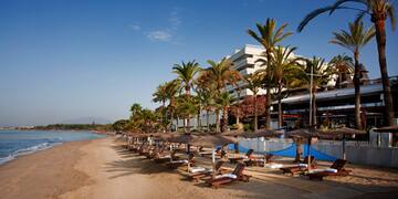 a beach with palm trees and lounge chairs