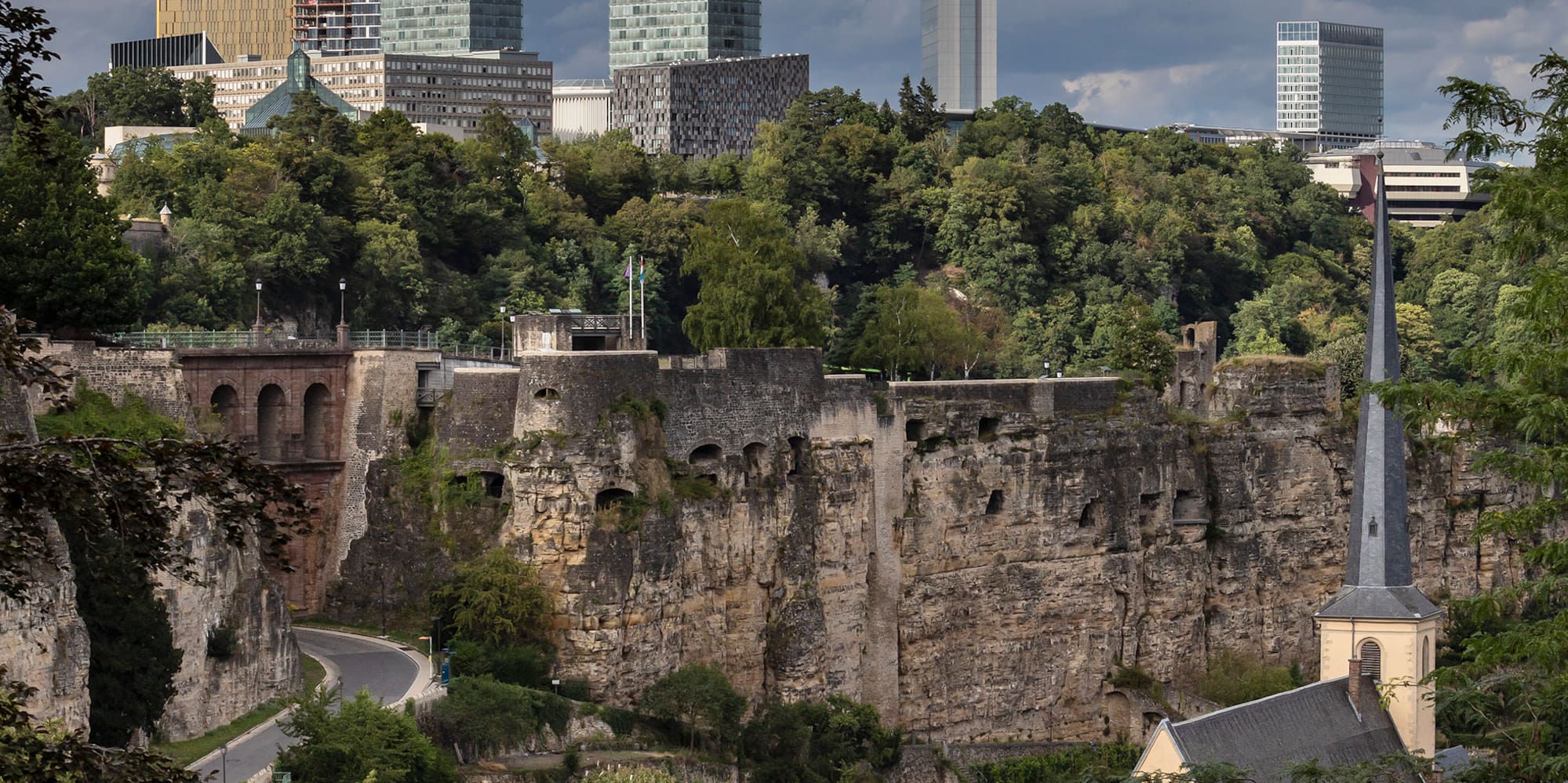 a cityscape with trees and buildings