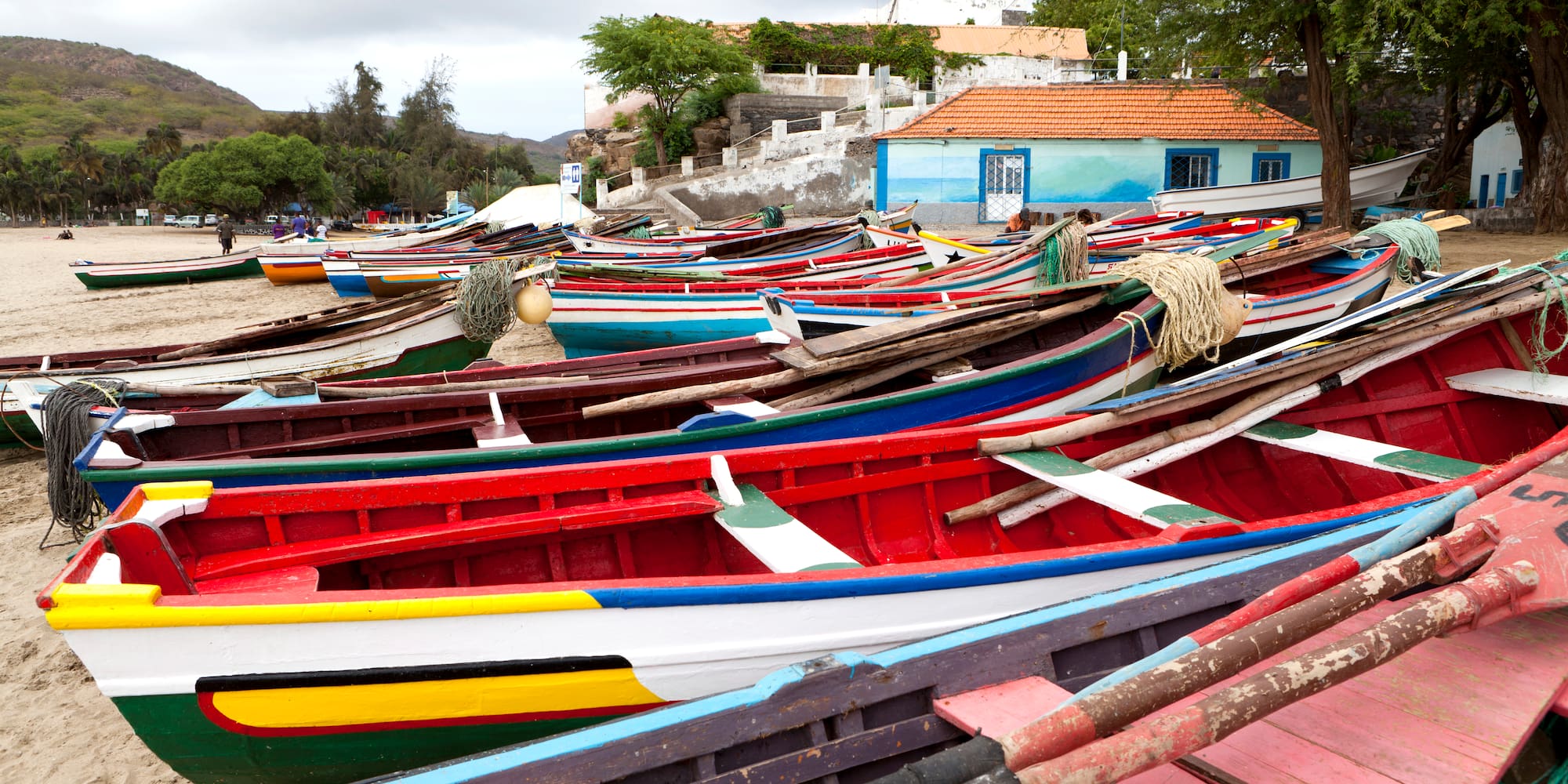 a group of boats on the shore