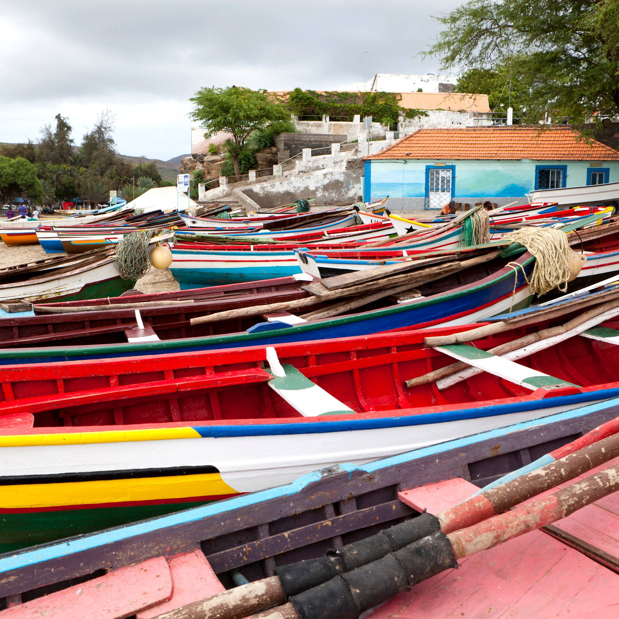 a group of boats on the shore