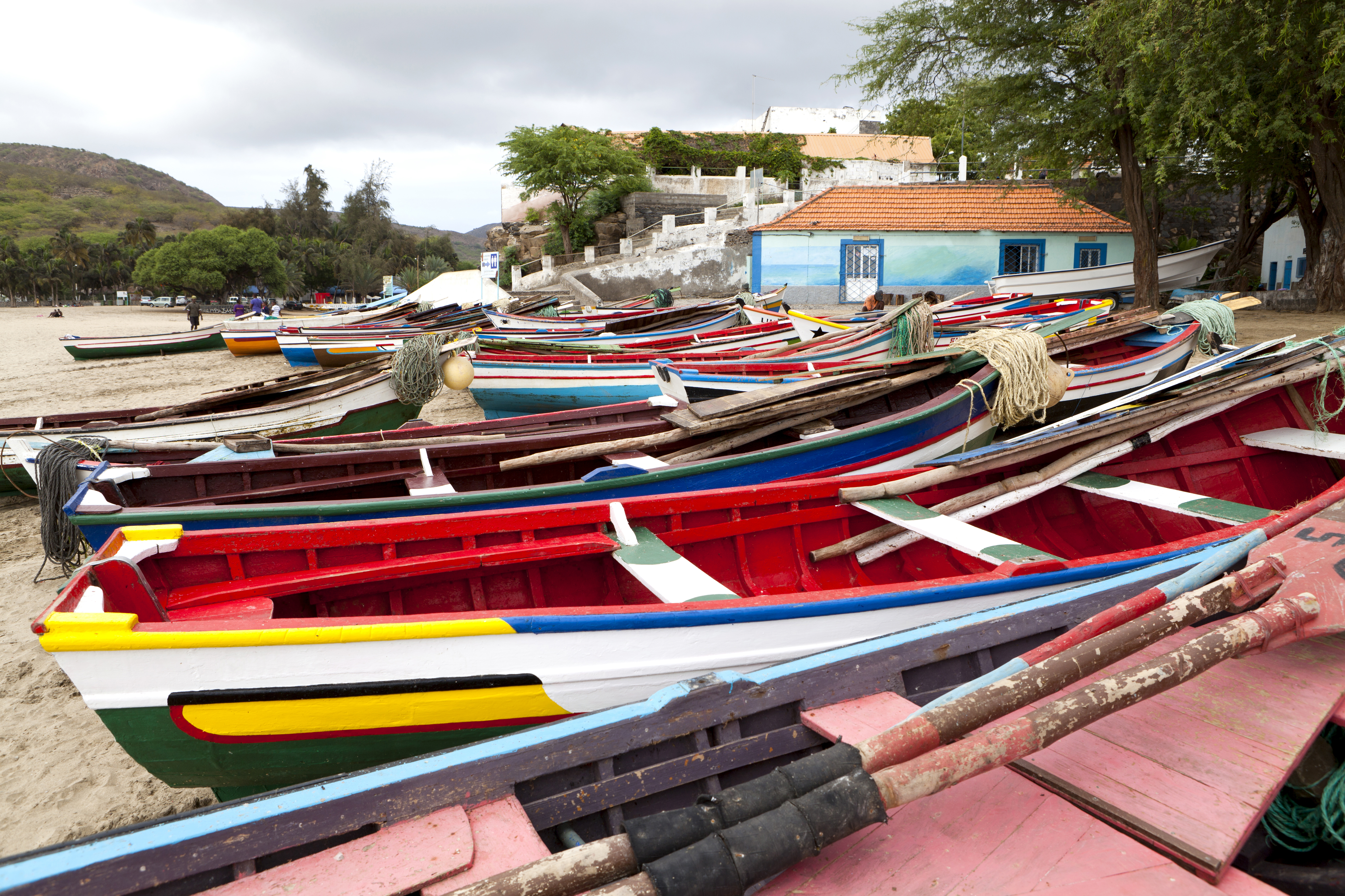 a group of boats on the shore