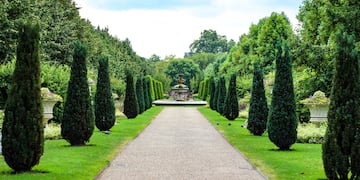 a path with a fountain and trees