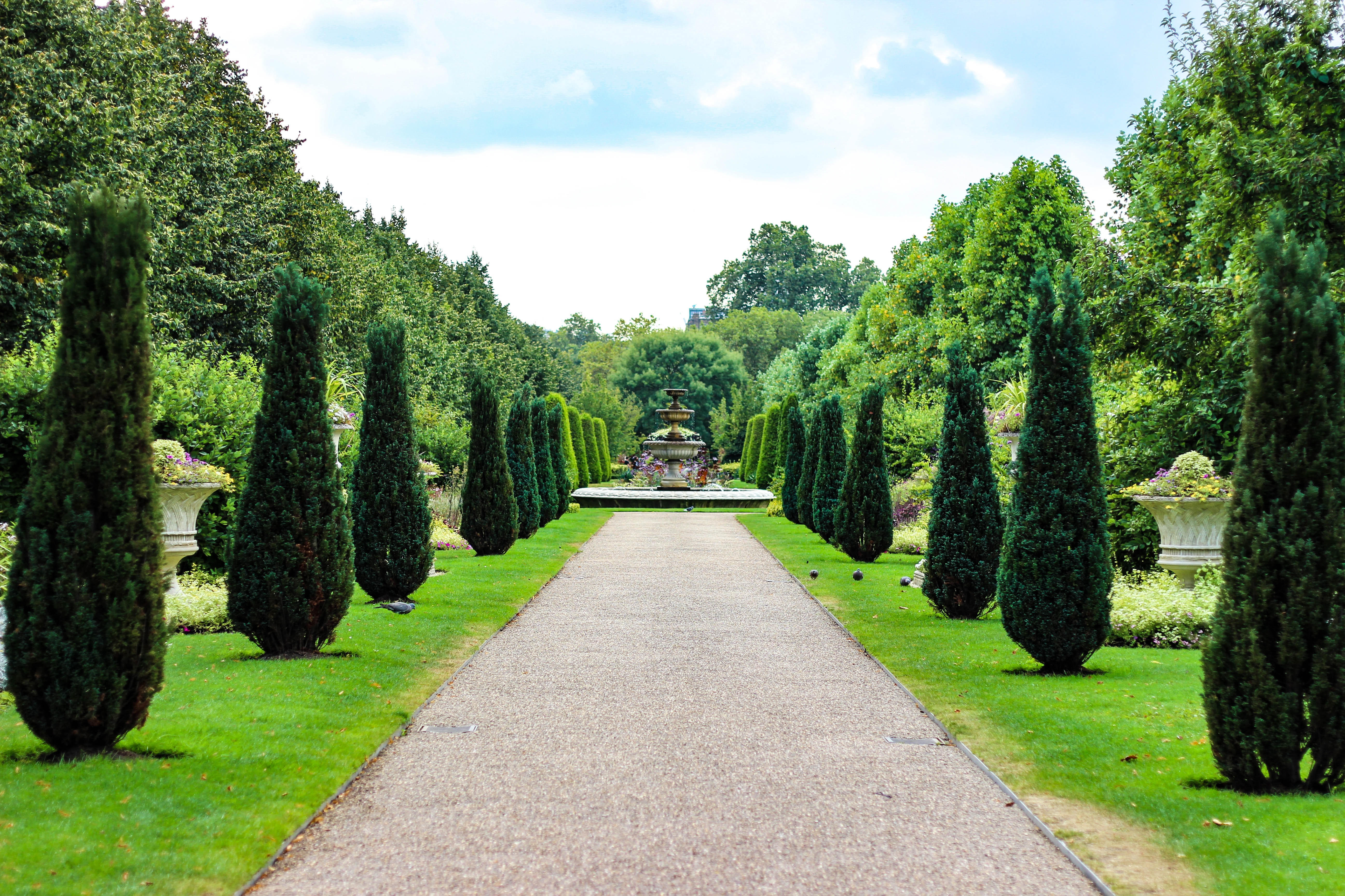Gravel path leading to a tiered fountain in a formal garden lined with evergreen trees.