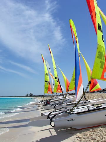 a row of sailboats on a beach