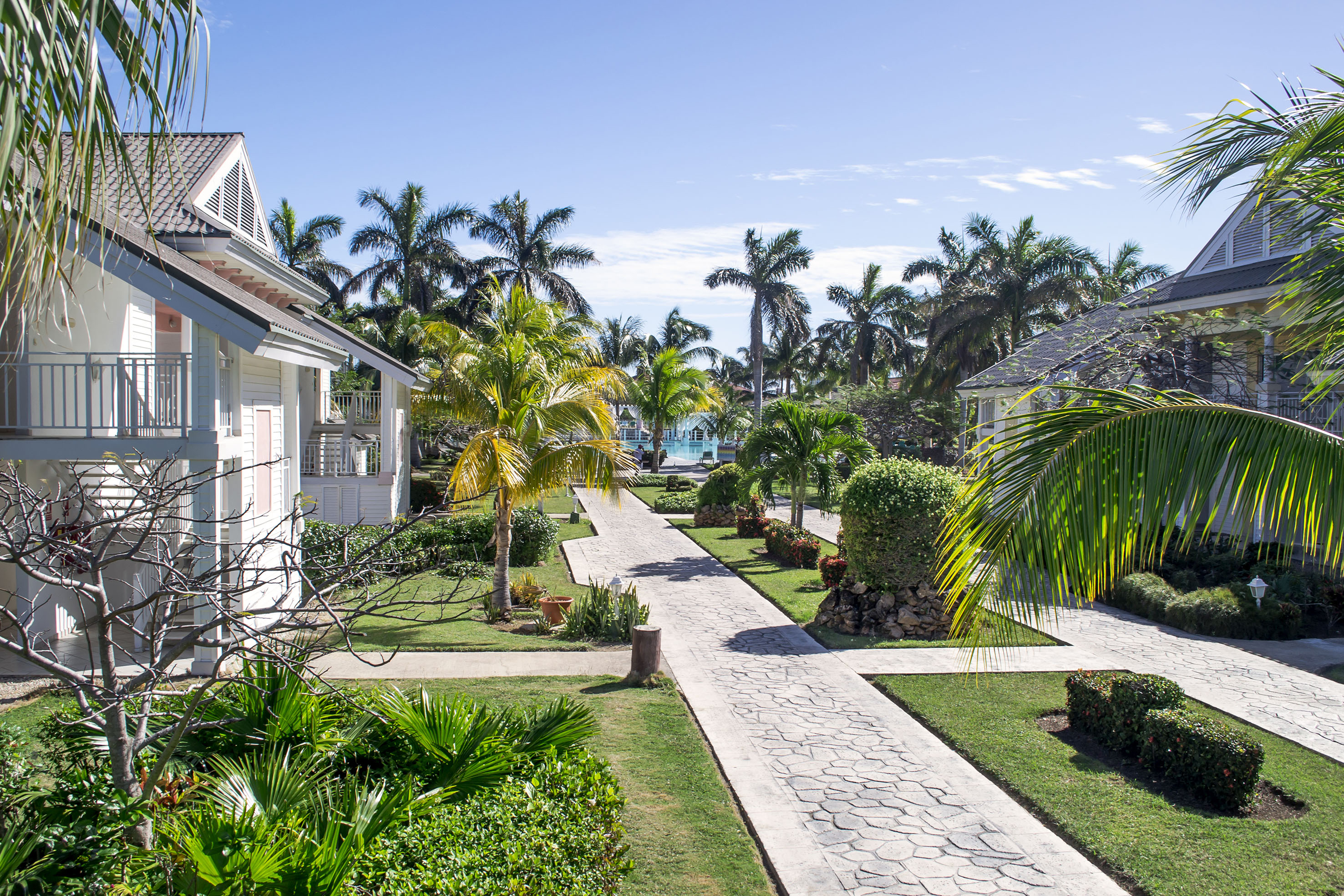 a walkway with palm trees and houses
