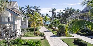 a walkway with palm trees and houses