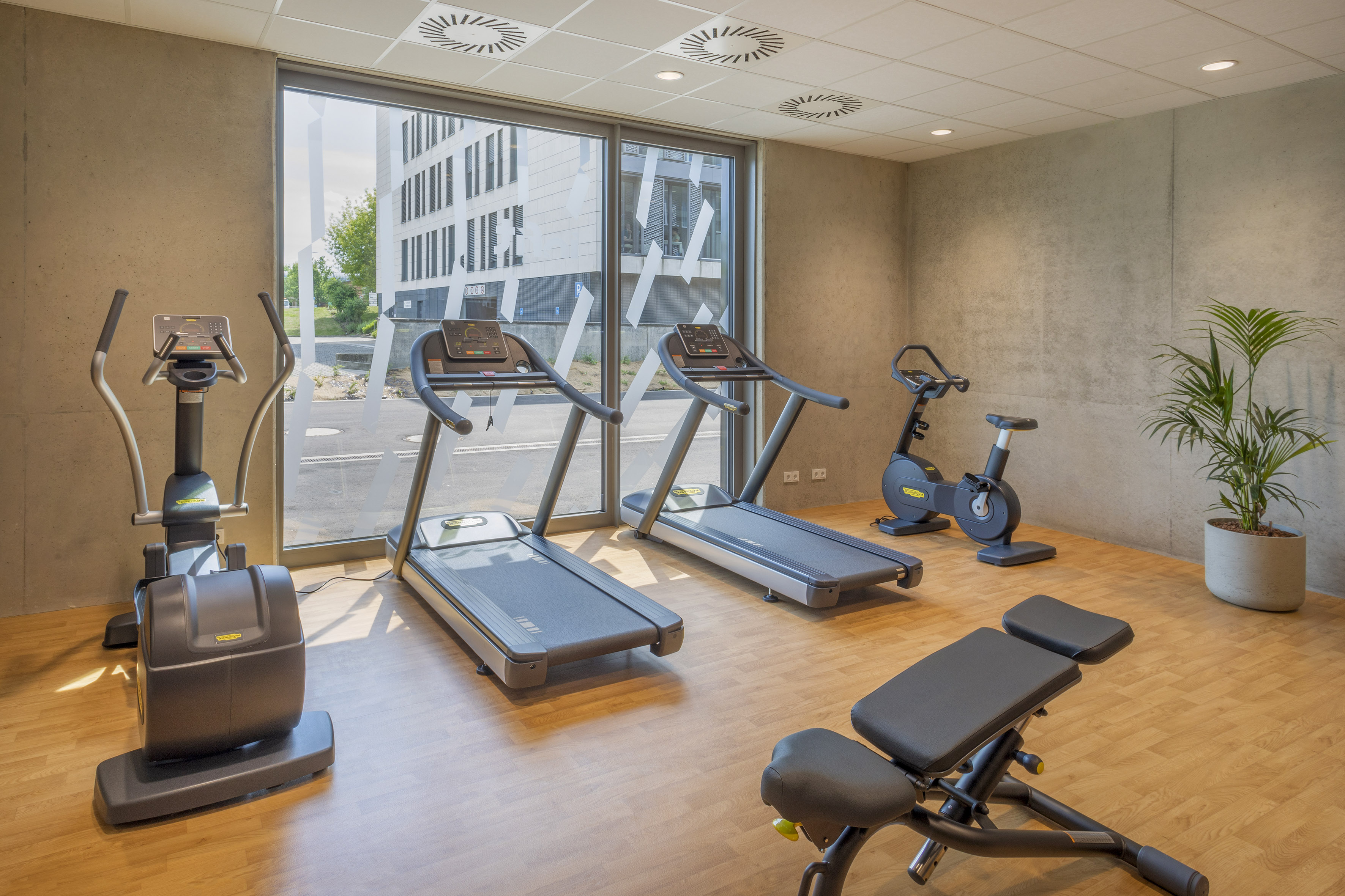 Modern gym with cardio machines, weight bench, and large windows.