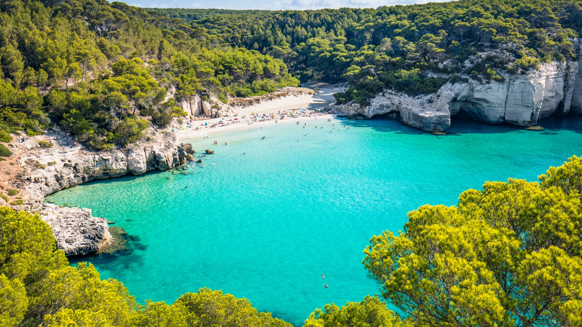 a beach with trees and rocks
