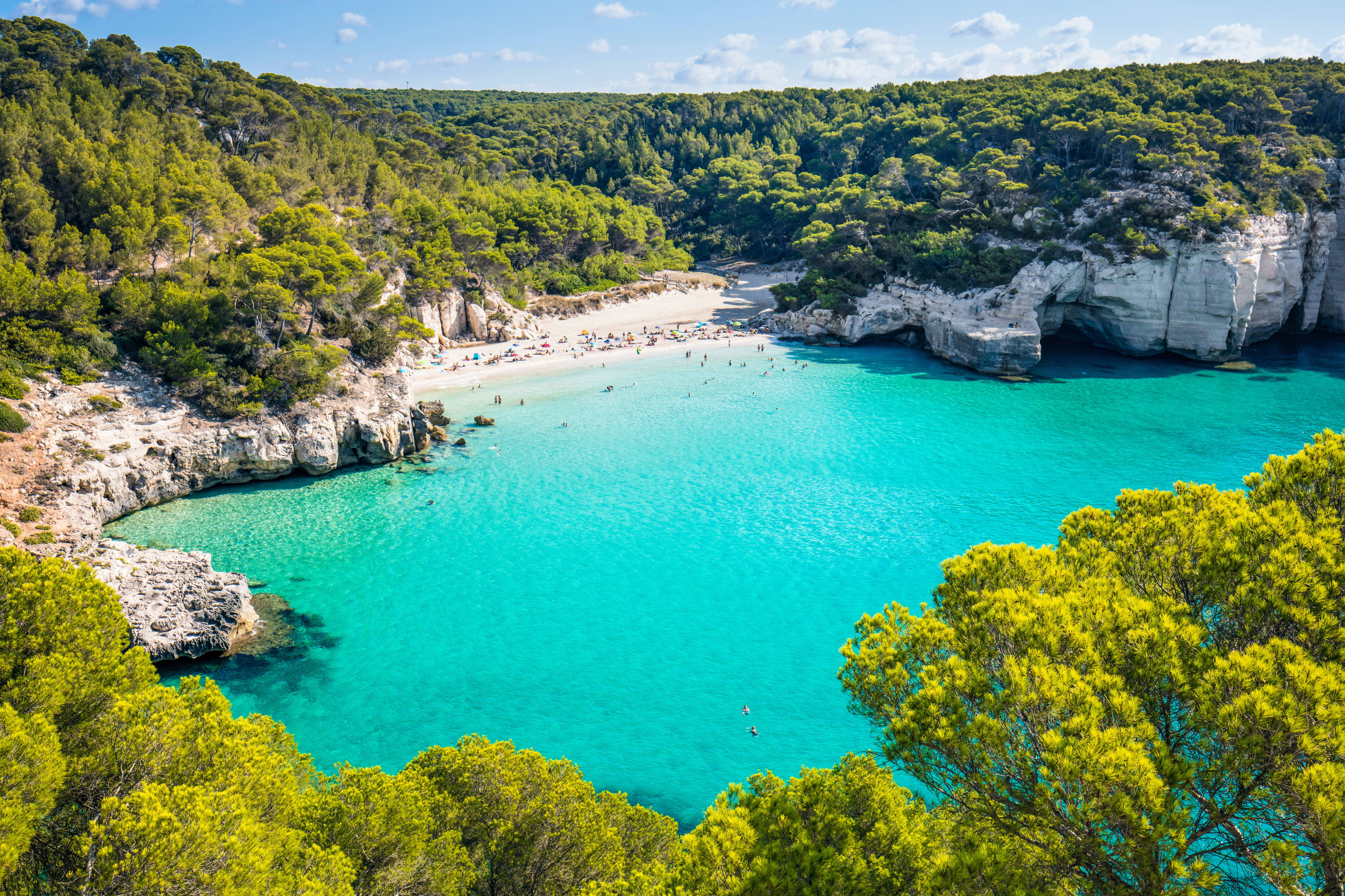 a beach with trees and rocks