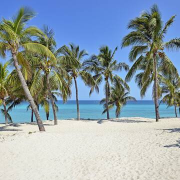 a beach with palm trees and blue water