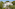 White Mediterranean villa with palm trees, sunny lawn, patio, and loungers.