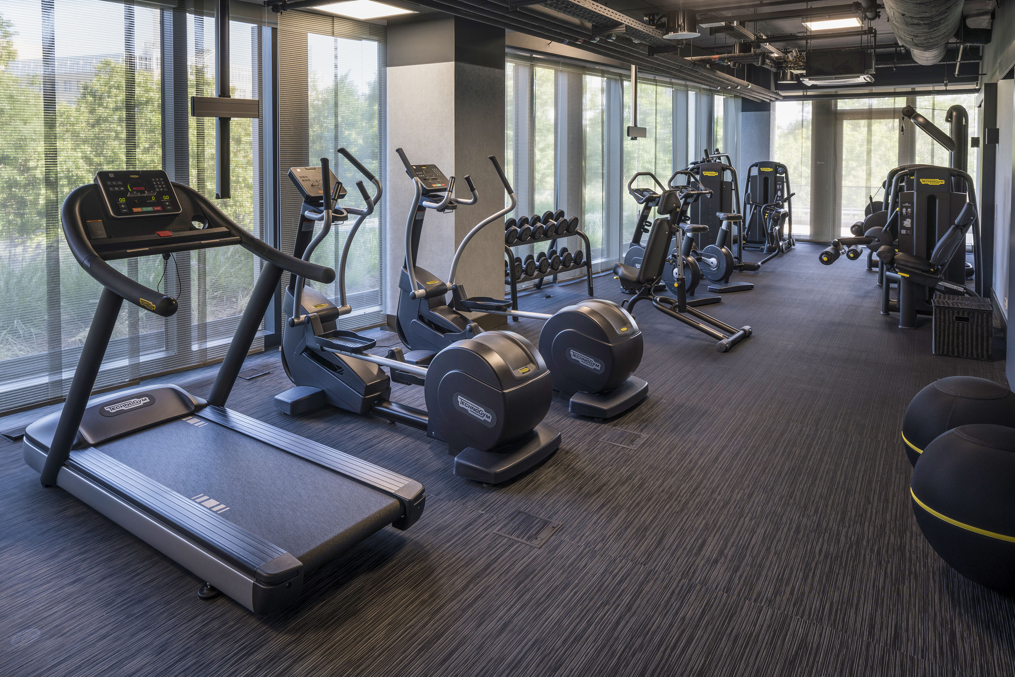 Modern gym with cardio and weight machines, dumbbells, and large windows.
