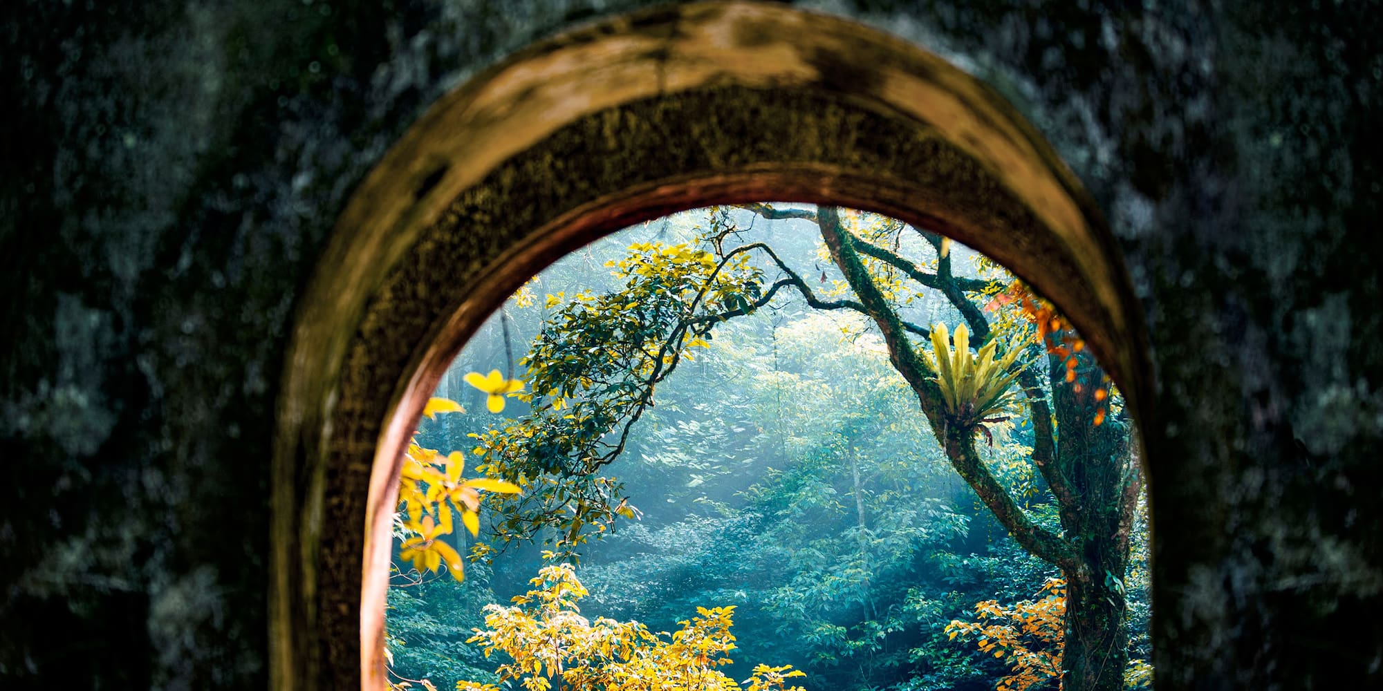 a view through a window of trees