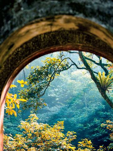 a view through a window of trees