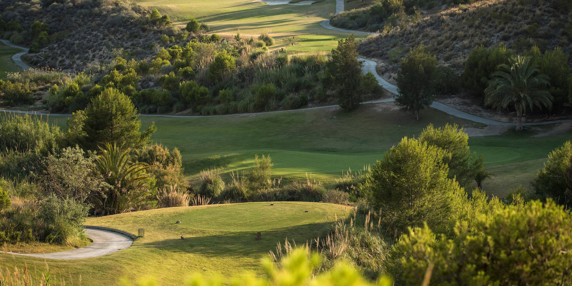 a golf course with trees and a path