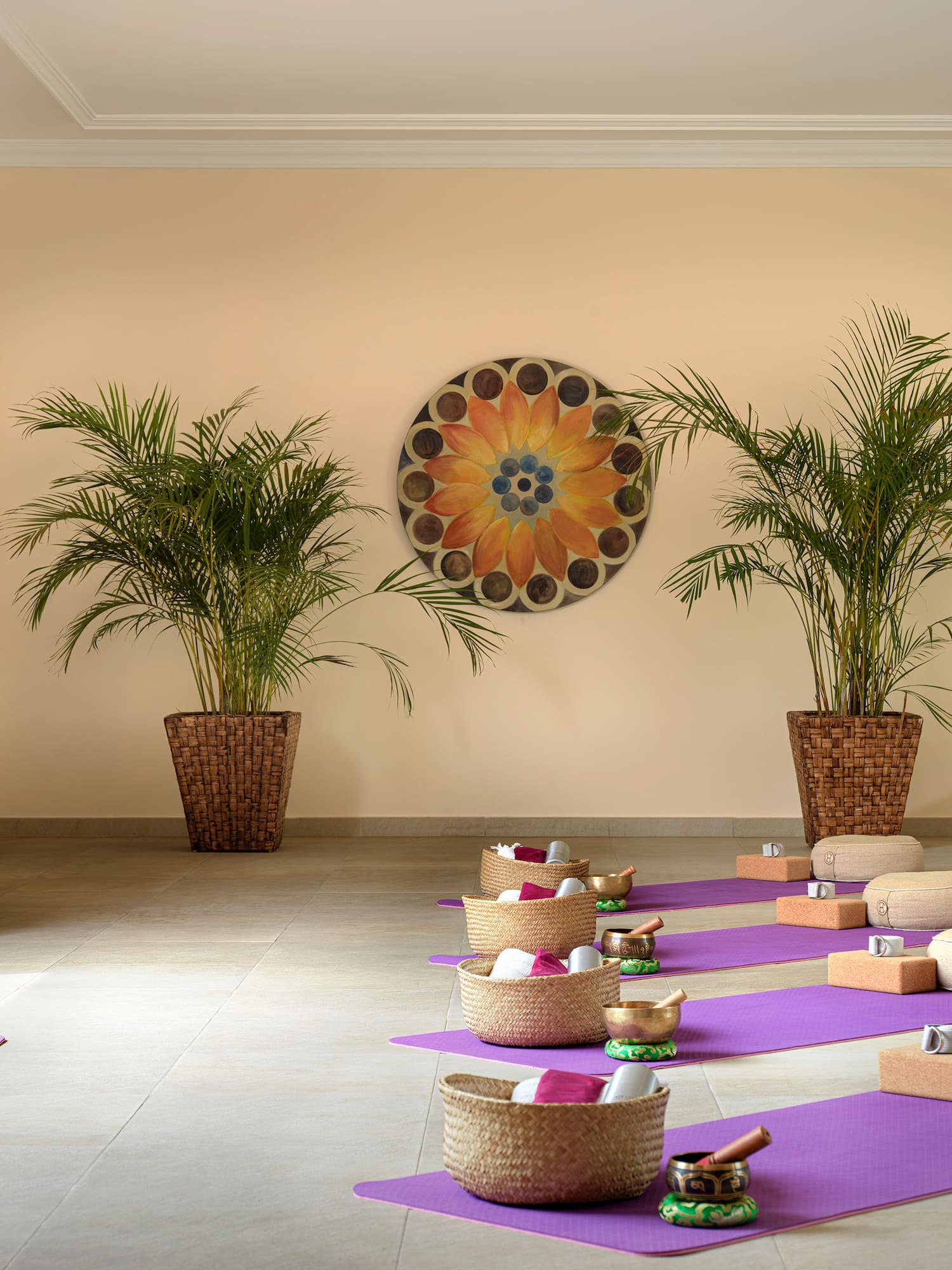 a room with yoga mats and plants