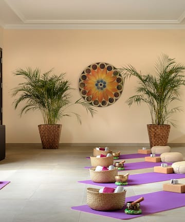 a room with yoga mats and plants